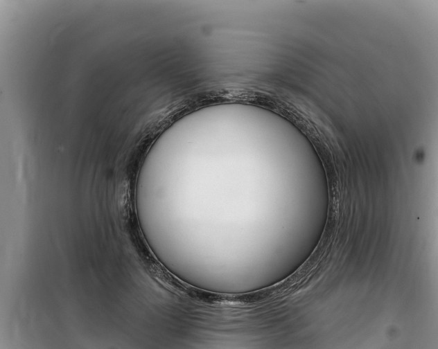 X0000100200748200805300747