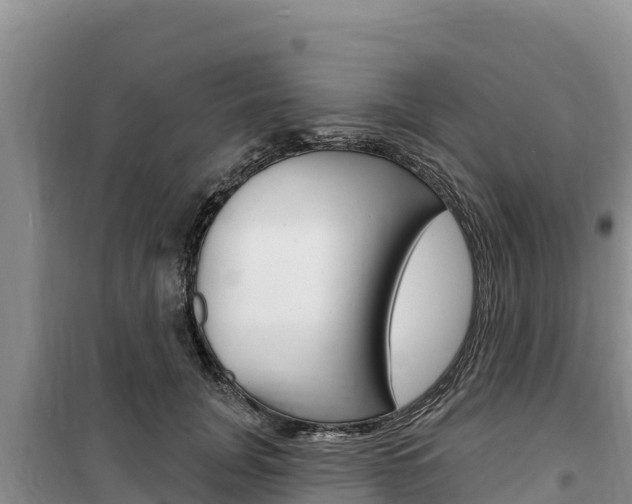 X0000100200751200805300747