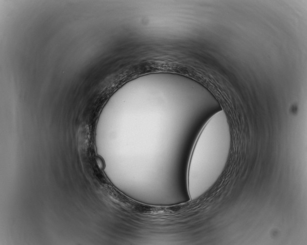X0000100200752200805300747