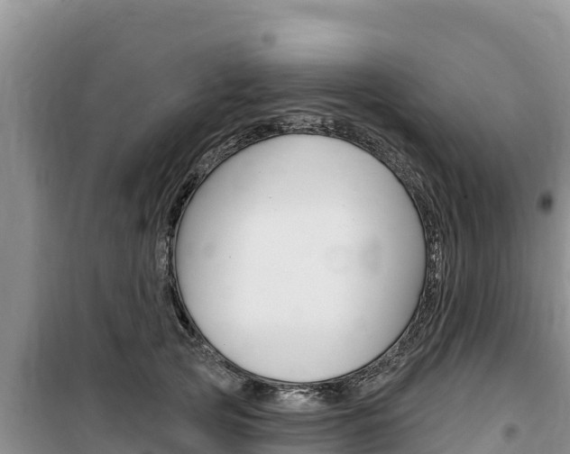 X0000100200753200805300747