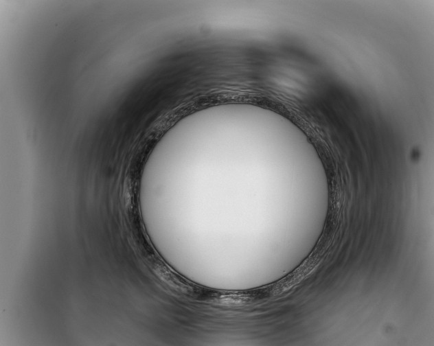 X0000100200758200805300747