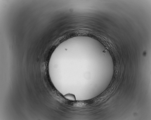 X0000100200759200805300747