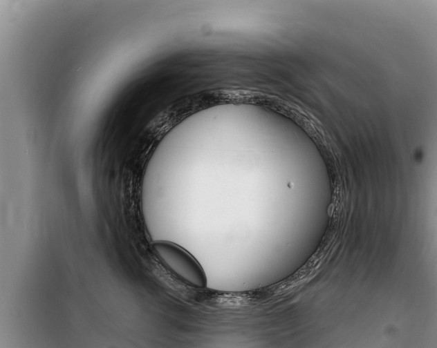 X0000100200762200805300747
