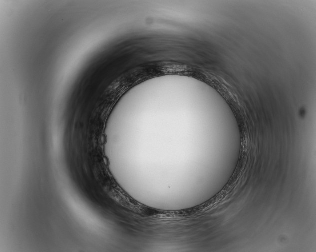 X0000100200763200805300747