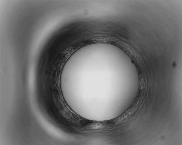 X0000100200764200805300747