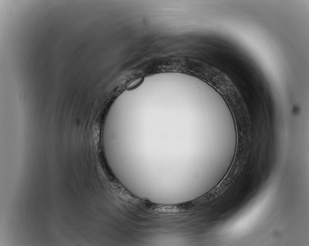 X0000100200767200805300747