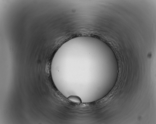 X0000100200768200805300747