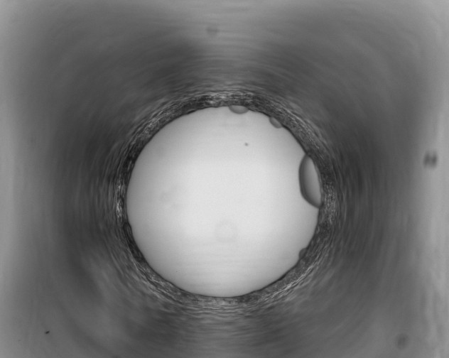 X0000100200770200805300746