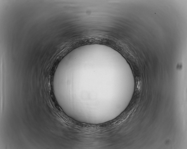 X0000100200771200805300746