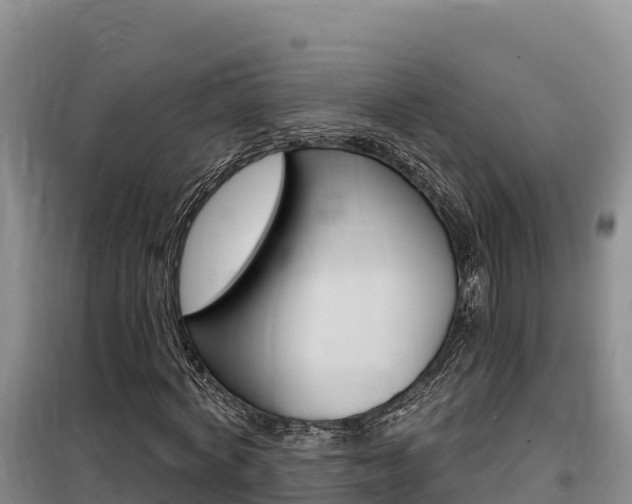 X0000100200772200805300746