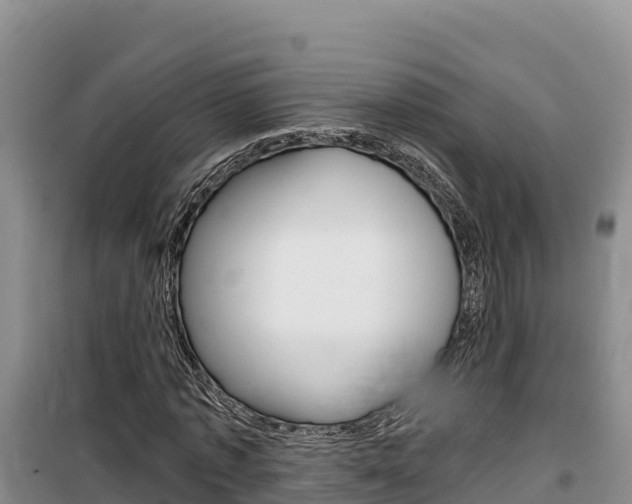 X0000100200773200805300746