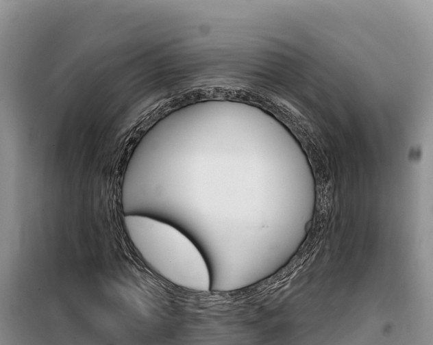 X0000100200774200805300746