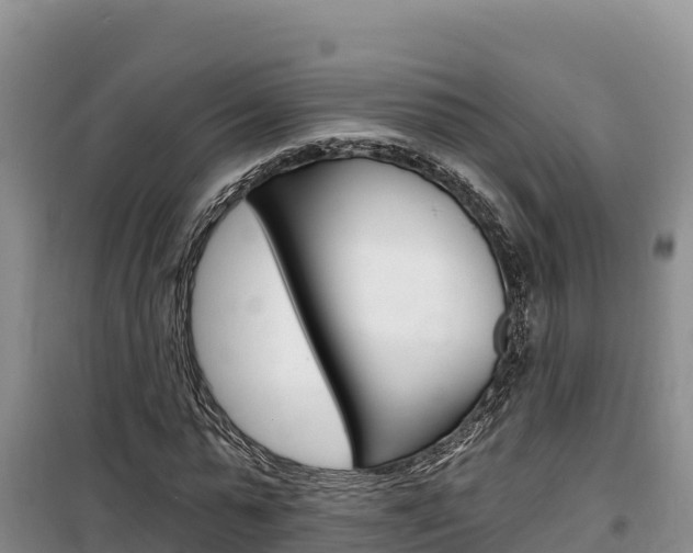 X0000100200775200805300746