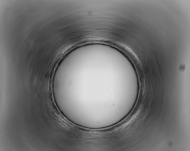 X0000100200777200805300746