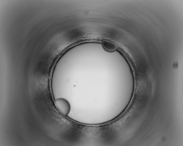 X0000100200778200805300746