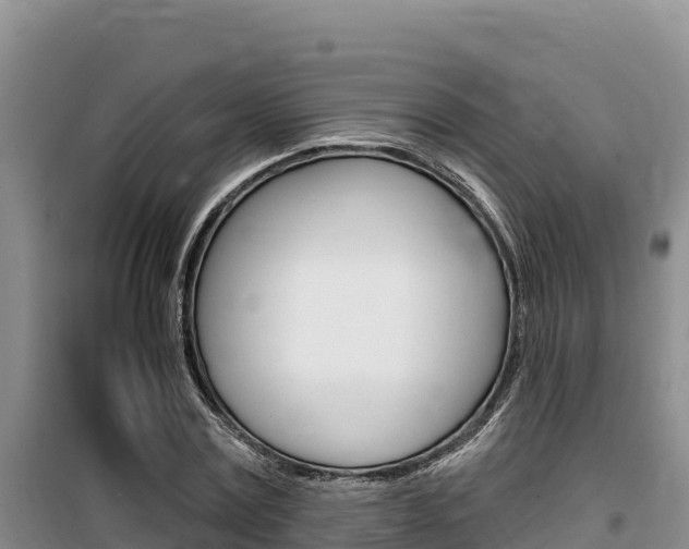 X0000100200779200805300746