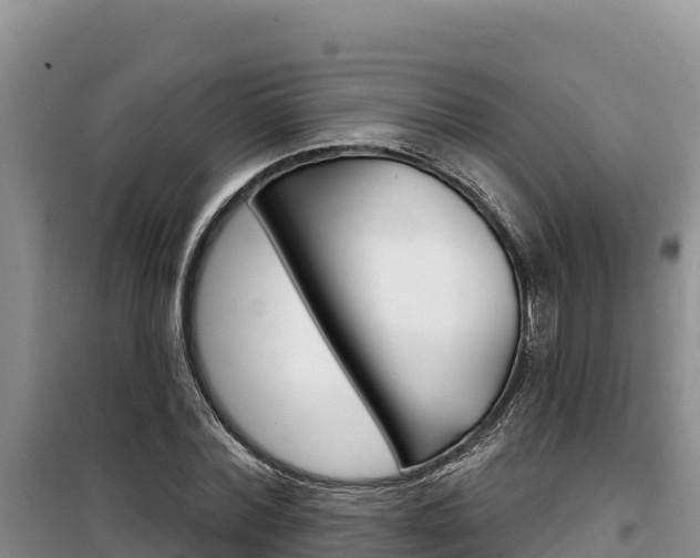 X0000100200780200805300746
