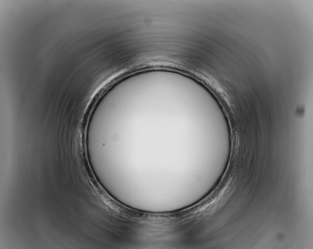 X0000100200782200805300746