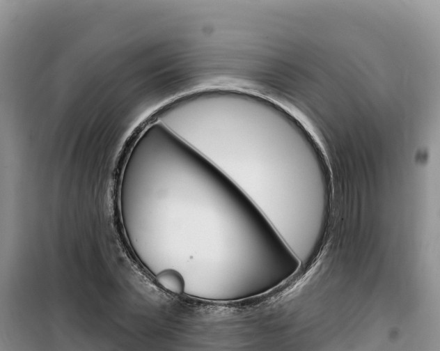 X0000100200783200805300746