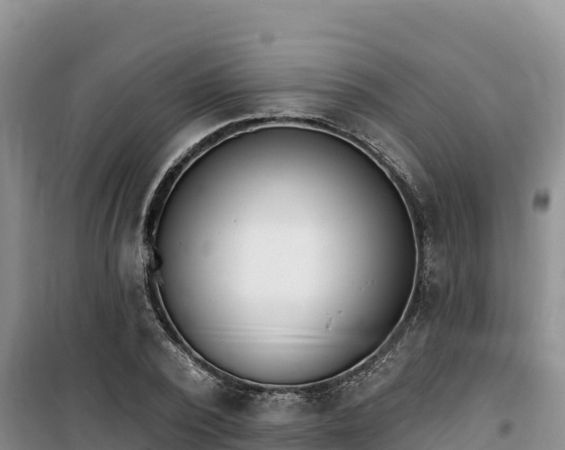 X0000100200784200805300746