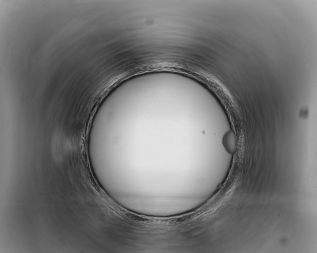 X0000100200785200805300746