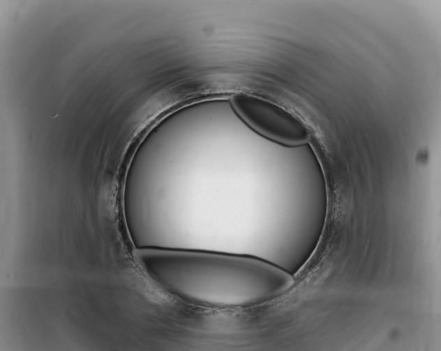X0000100200786200805300746