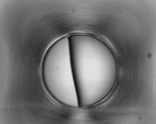 X0000100200787200805300746