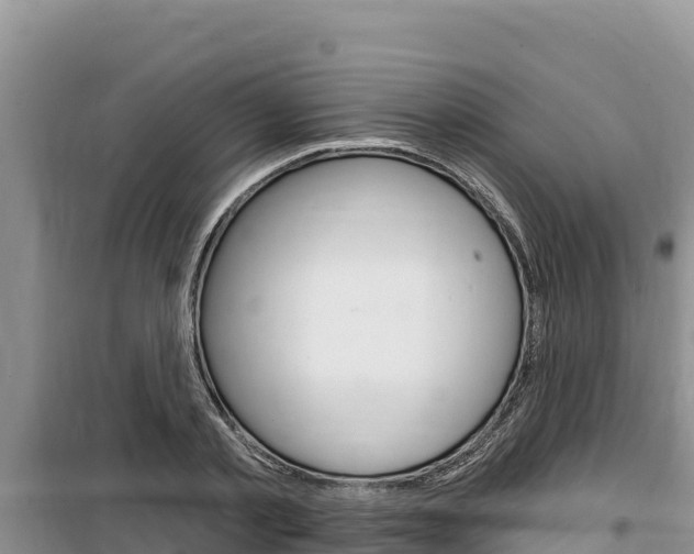 X0000100200789200805300746