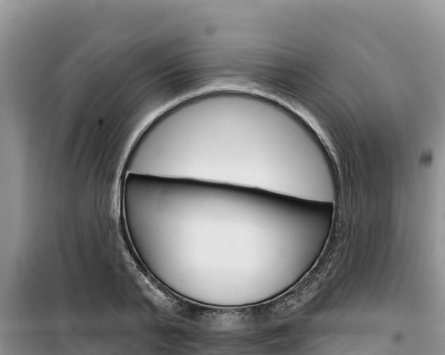 X0000100200791200805300746