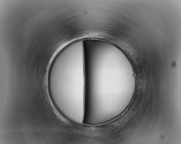 X0000100200792200805300746