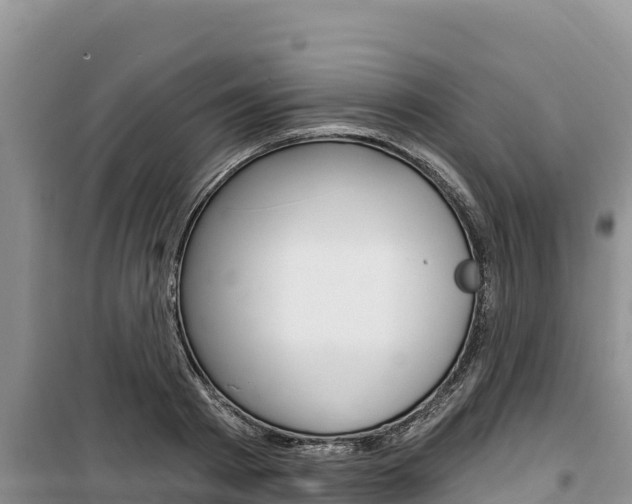 X0000100200793200805300746