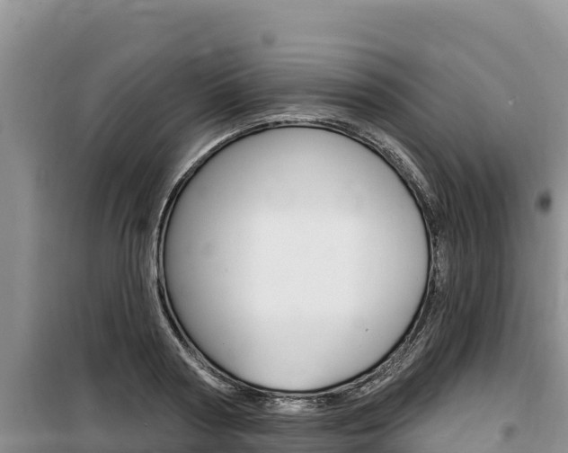 X0000100200794200805300746