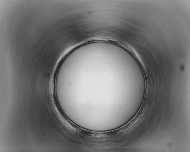 X0000100200795200805300746