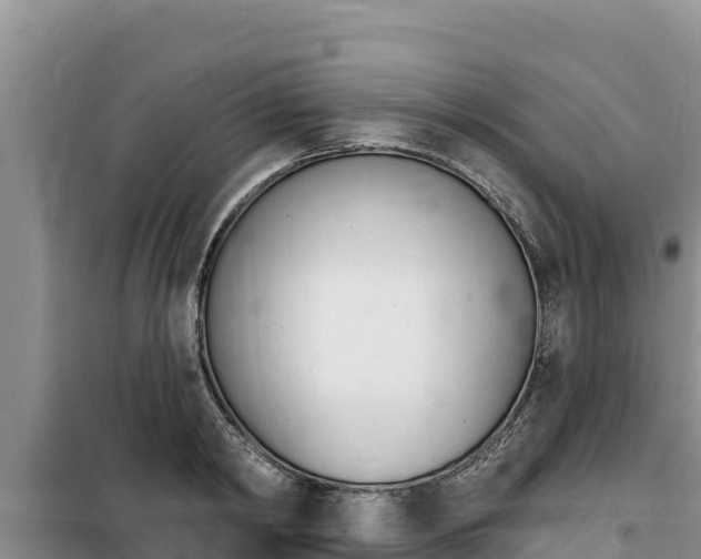 X0000100200798200805300746