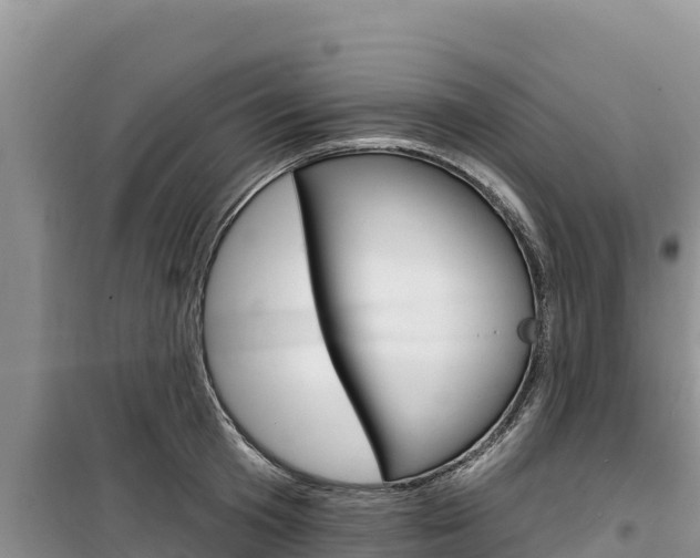 X0000100200801200805300746