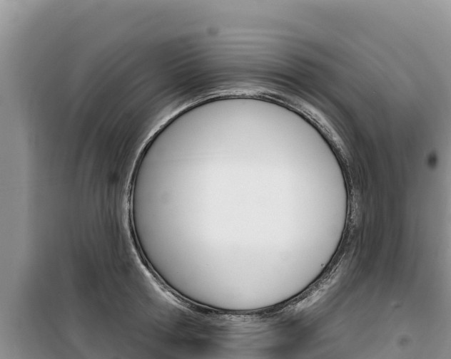 X0000100200802200805300746