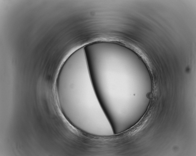 X0000100200803200805300746