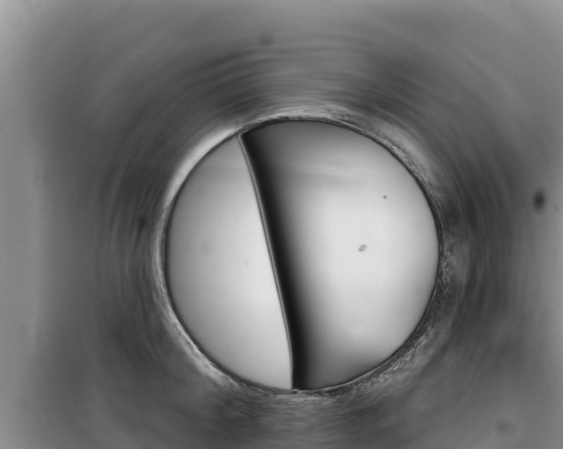 X0000100200804200805300746