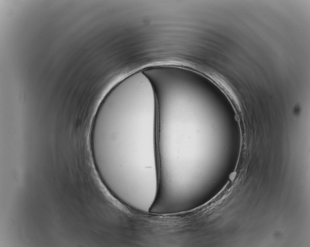 X0000100200805200805300746