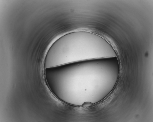 X0000100200808200805300746