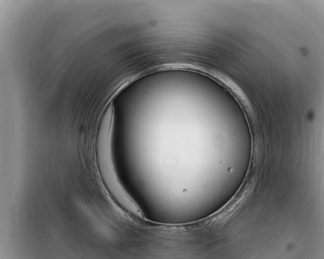 X0000100200809200805300746