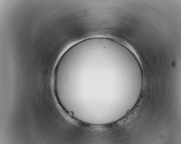 X0000100200811200805300746