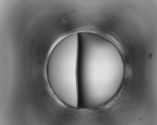 X0000100200812200805300746