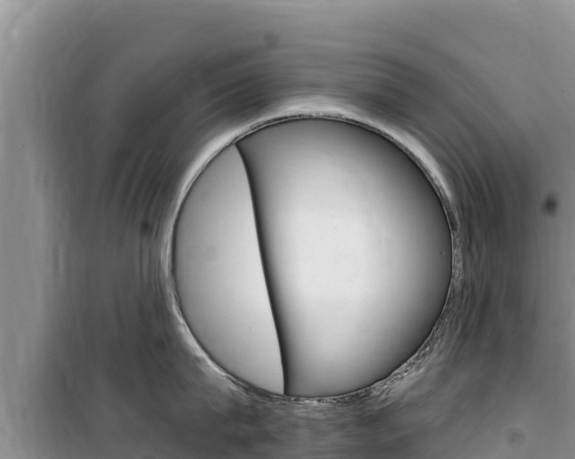 X0000100200815200805300746
