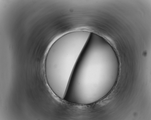 X0000100200816200805300746