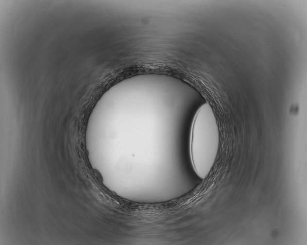 X0000100200817200805300745