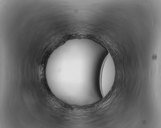 X0000100200818200805300745