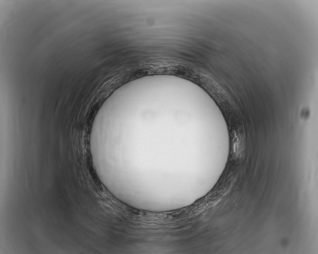 X0000100200819200805300745