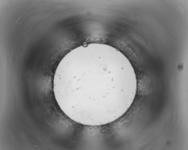 X0000100200820200805300745