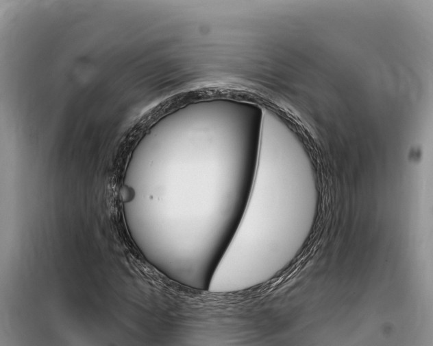 X0000100200822200805300745